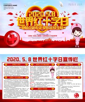 世界红十字日