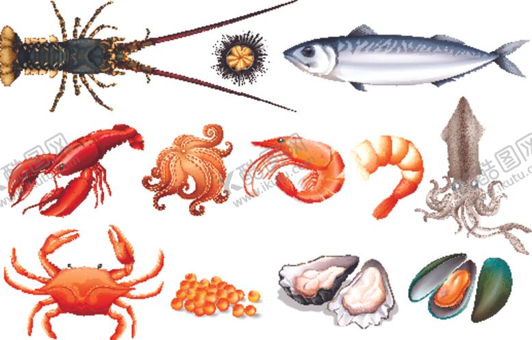编号：59556910091752535948【酷图网】源文件下载-各种海鲜套餐