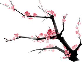 梅花国画