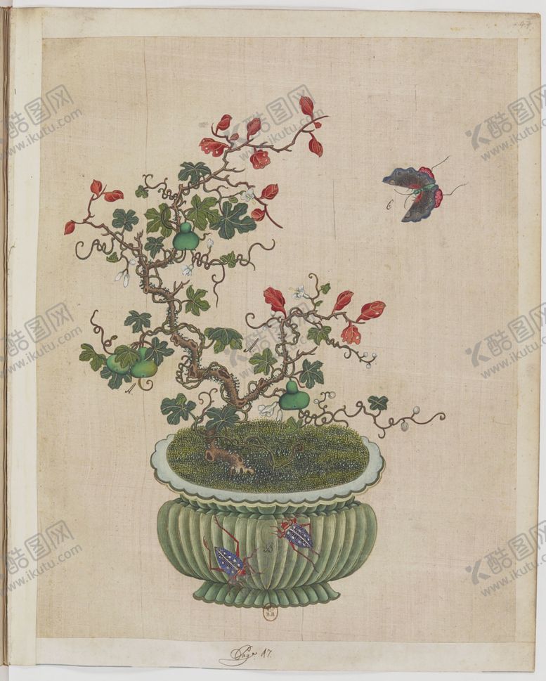 编号：51615903281934155296【酷图网】源文件下载-盆景花鸟