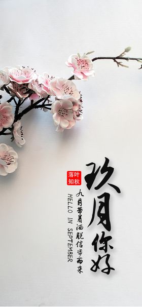 九月你好菊花彩色水墨9促销9图片