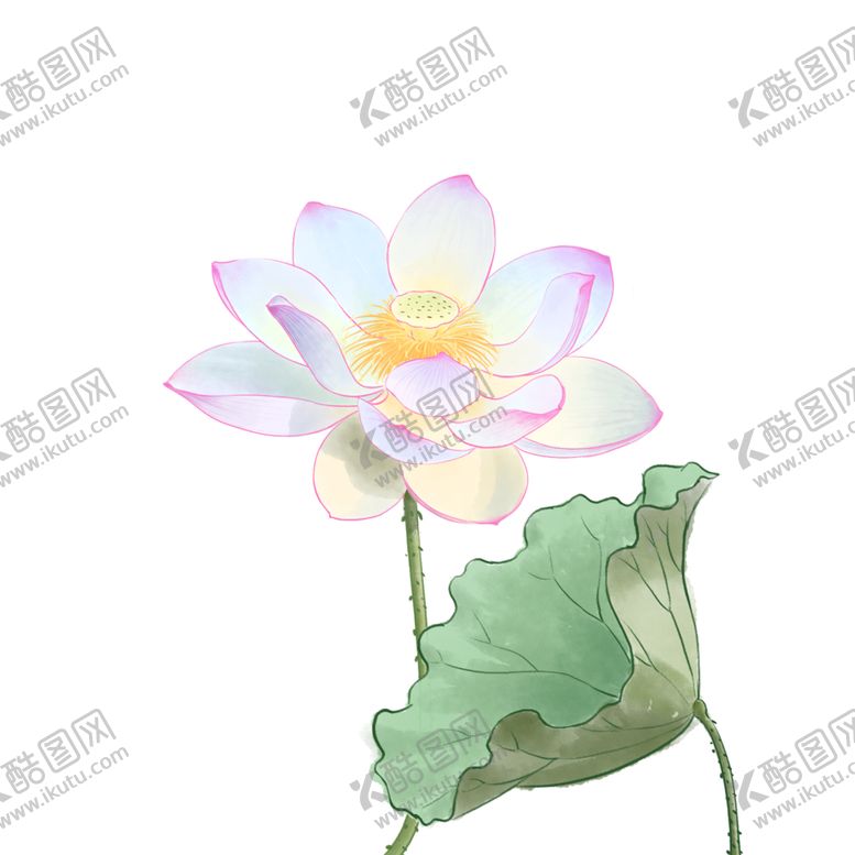 编号：97022504171612251492【酷图网】源文件下载-荷花元素