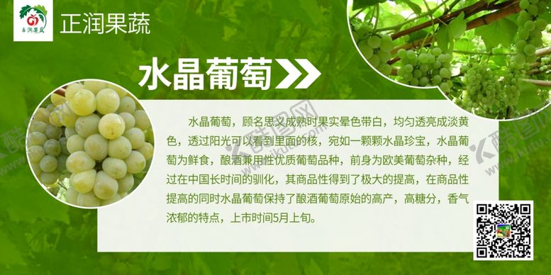 编号：66367909192013037293【酷图网】源文件下载-水果宣传展板