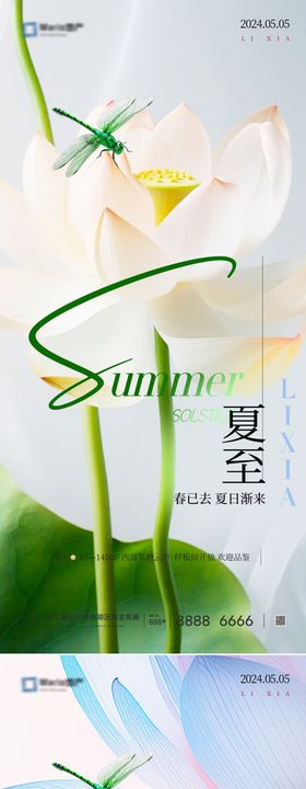 立夏夏至节气海报