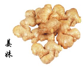 生姜