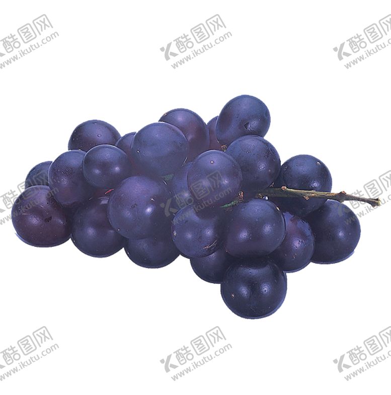 编号：75019609191419126129【酷图网】源文件下载-紫色葡萄特写图片摄影素材