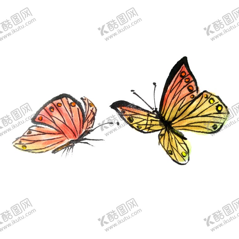 编号：96855802071536261703【酷图网】源文件下载-蝴蝶黄色水红国画水墨