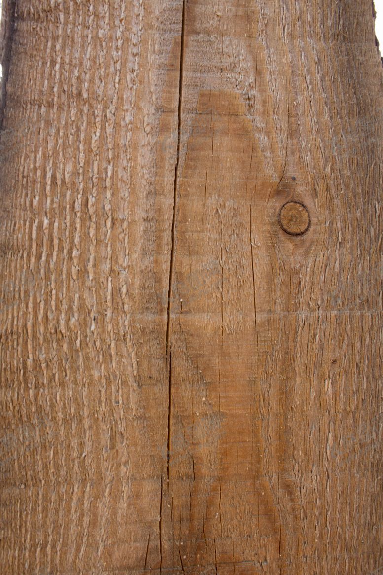 编号：52885309232225527290【酷图网】源文件下载-树皮