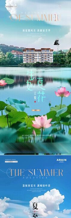 立夏夏至湖面莲花海报