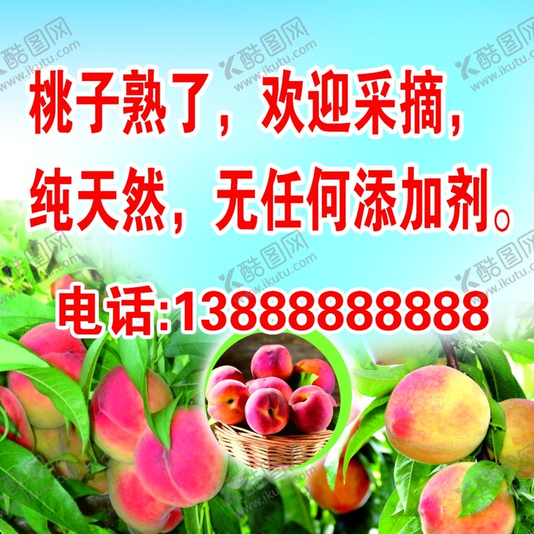 编号：30268110161648403329【酷图网】源文件下载-桃子熟了