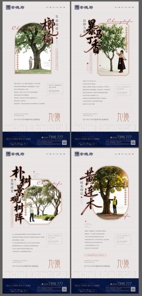 匠心选材价值稿