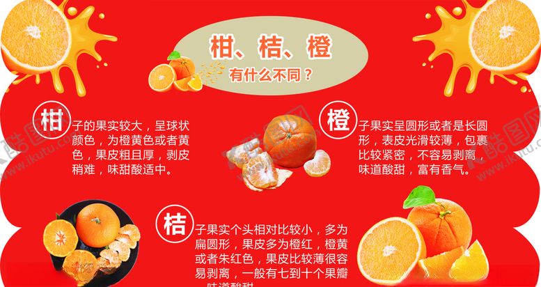 编号：98666506282203027074【酷图网】源文件下载-柑橘橙有什么不同海报