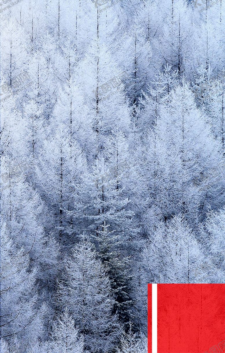 编号：77518109252028562640【酷图网】源文件下载-工作证