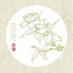 高清白描栀子花图