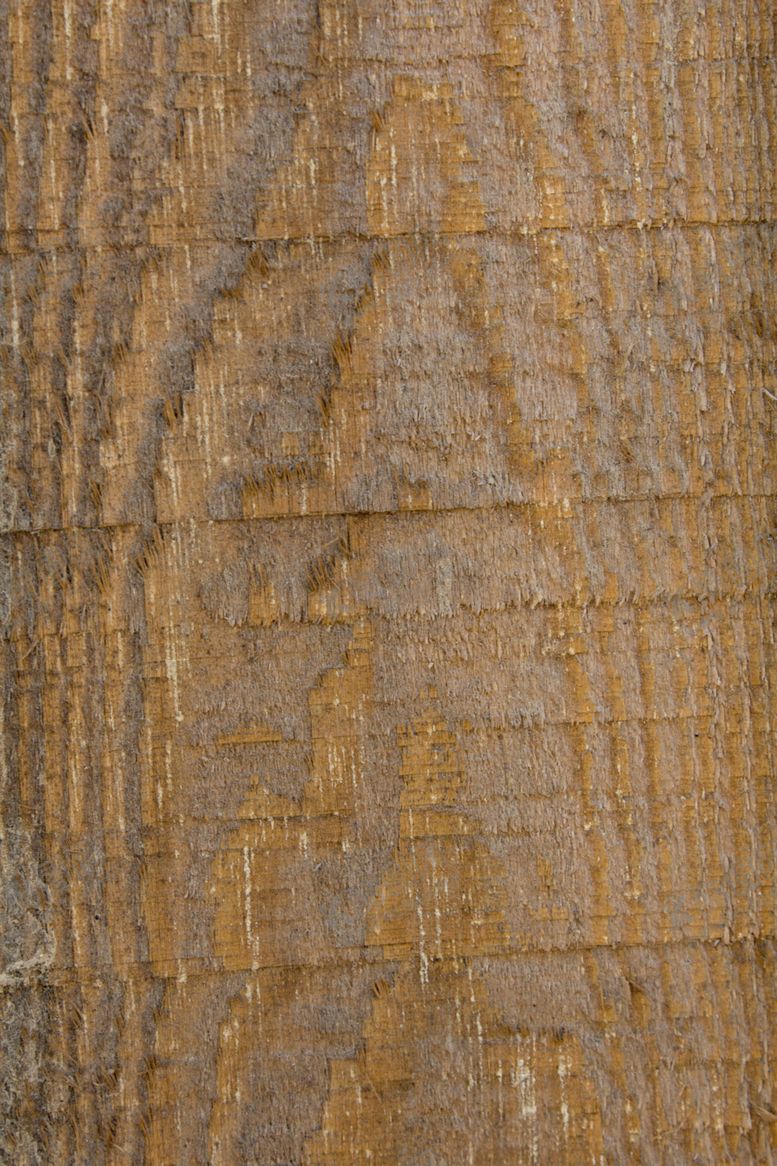 编号：70337909290307061803【酷图网】源文件下载-树皮