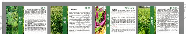 编号：54417307092026289212【酷图网】源文件下载-绿色蔬菜简介