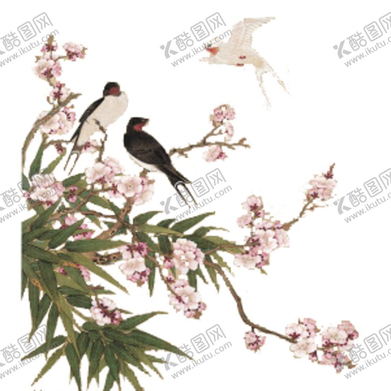编号：24948306260843515186【酷图网】源文件下载-花鸟