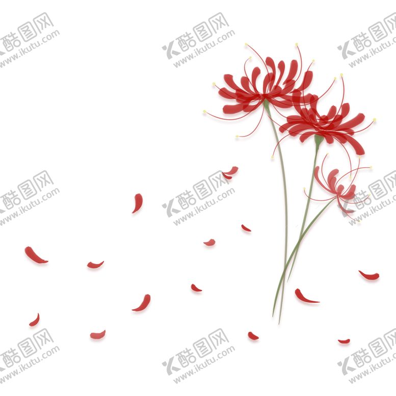 编号：15894009171443576107【酷图网】源文件下载-花瓣 彼岸花