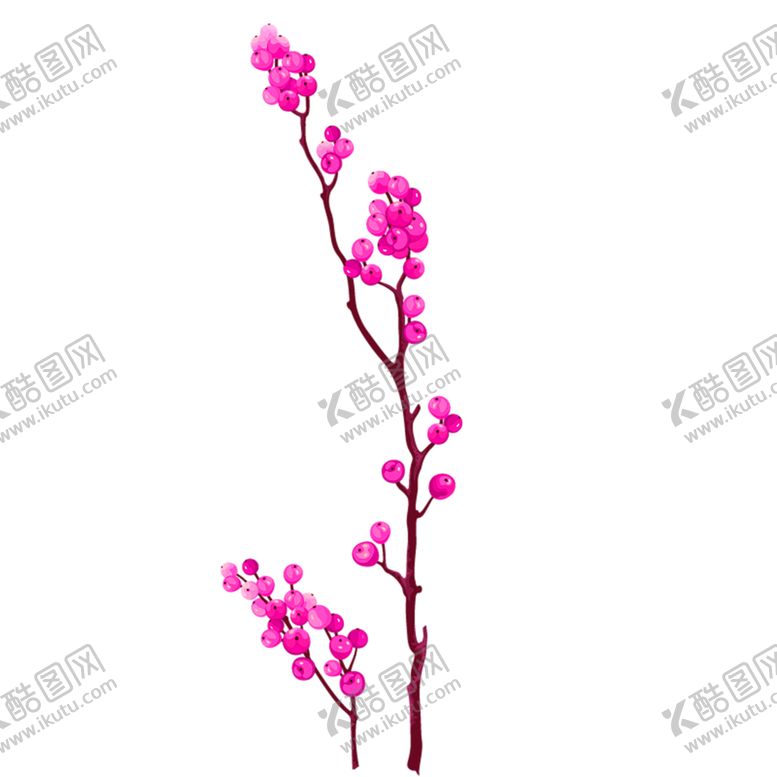 编号：12387405181613264680【酷图网】源文件下载-鲜花素材