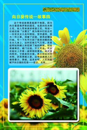 向日葵传说故事四