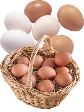 鸡蛋