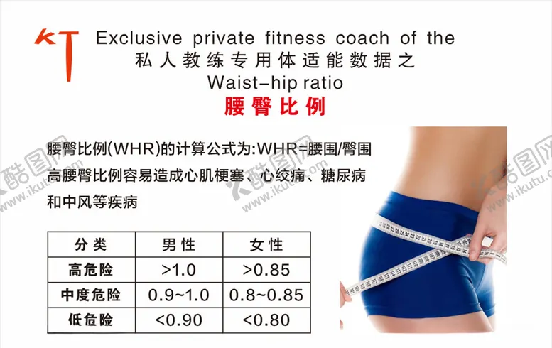编号：16977704060641399392【酷图网】源文件下载-私人教练专用体适能数据