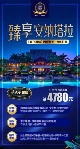 云南西双版纳海报