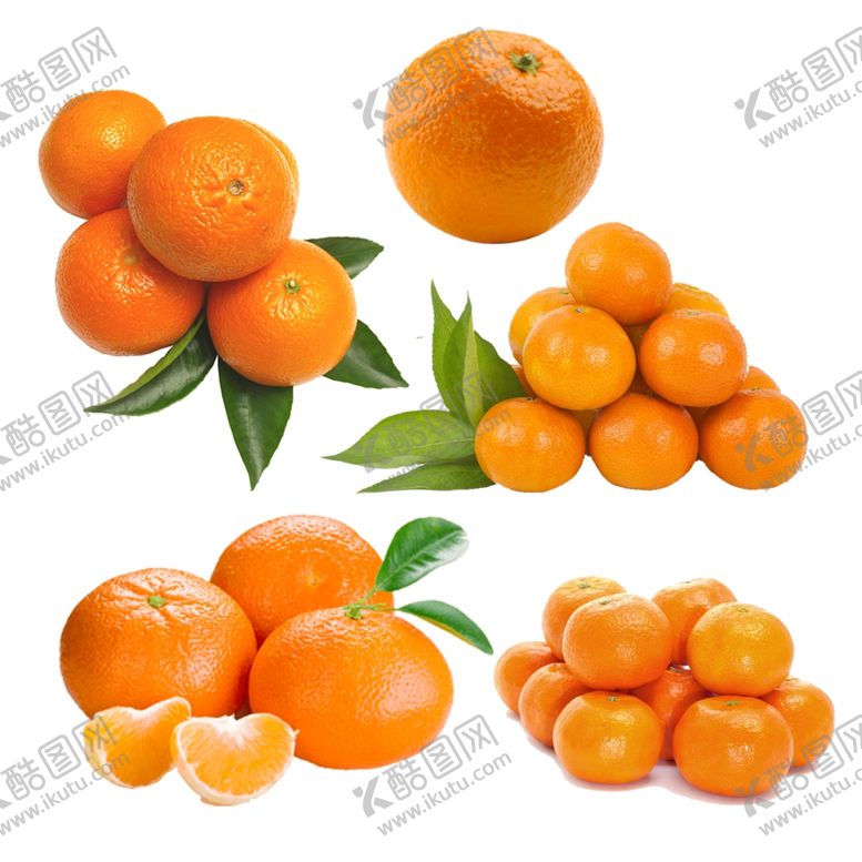 编号：33851609280610376376【酷图网】源文件下载-橘子