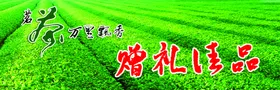 茗茶茶叶
