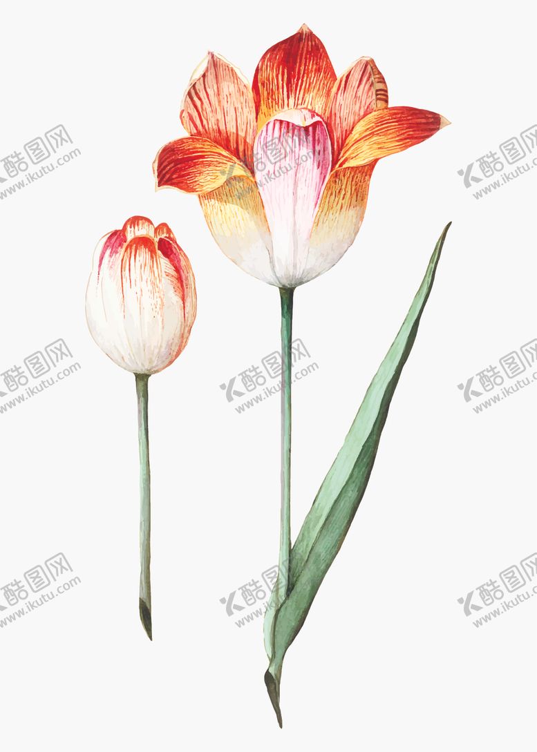 编号：70112607040300103554【酷图网】源文件下载-花纹