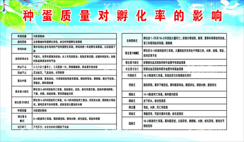 编号：70957511120536014379【酷图网】源文件下载-种蛋孵化