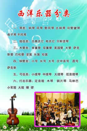 乐器分类