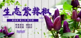 辣椒