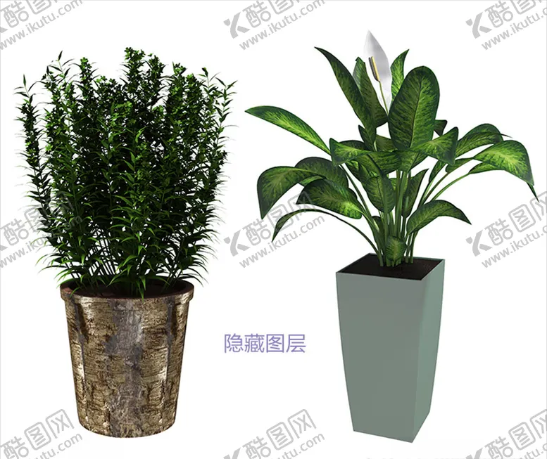 编号：66915003290059168923【酷图网】源文件下载-盆栽植物