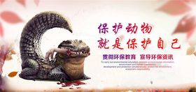 保护野生动物