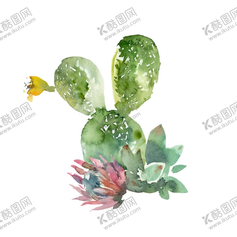 编号：22465012230614487347【酷图网】源文件下载-免扣植物素材图片