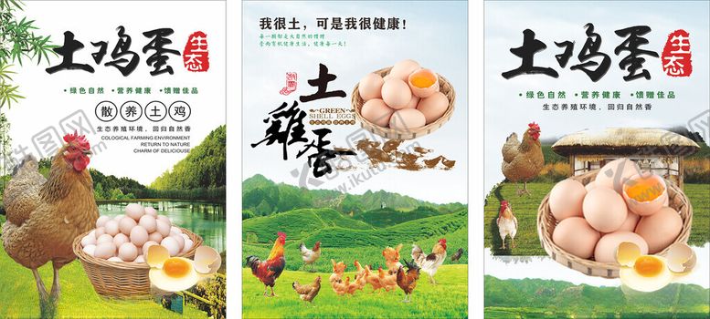 编号：48941510121937142213【酷图网】源文件下载-土鸡蛋海报