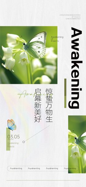 惊蛰节气海报二十四树枝房地产