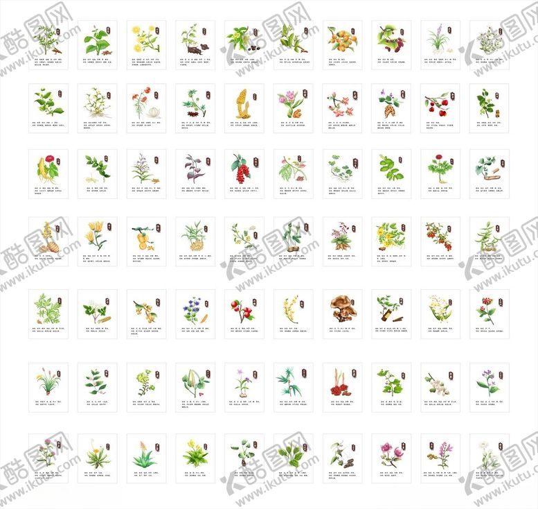 编号：50419610221947293841【酷图网】源文件下载-中草药