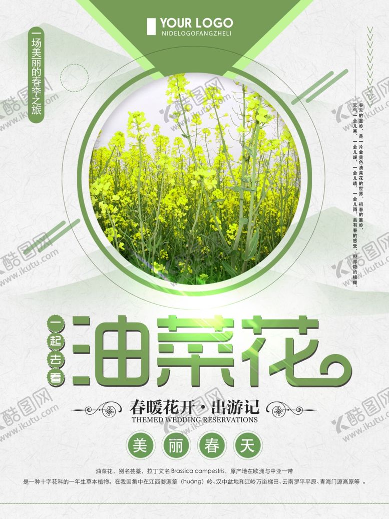 编号：28856806280536568616【酷图网】源文件下载-油菜花