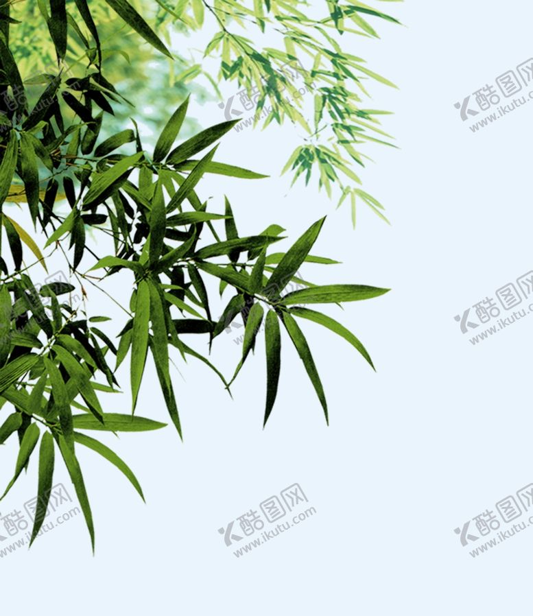 编号：98437210280023063559【酷图网】源文件下载-树叶