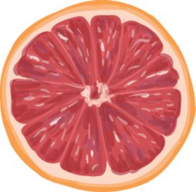夏日水果水彩插画