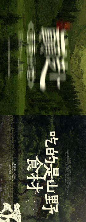 山野风野生菌长图海报