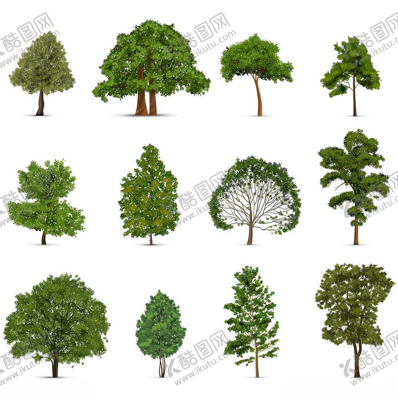 编号：45086104041826045436【酷图网】源文件下载-多样树木集合展示