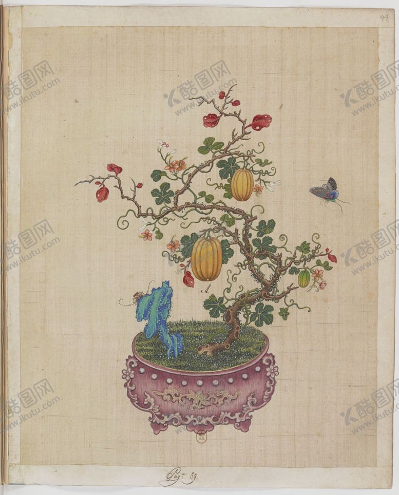 编号：24149004121736559116【酷图网】源文件下载-盆景花鸟