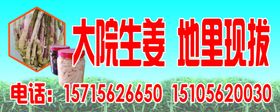 生姜