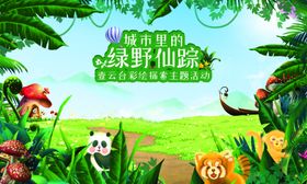 绿野仙踪