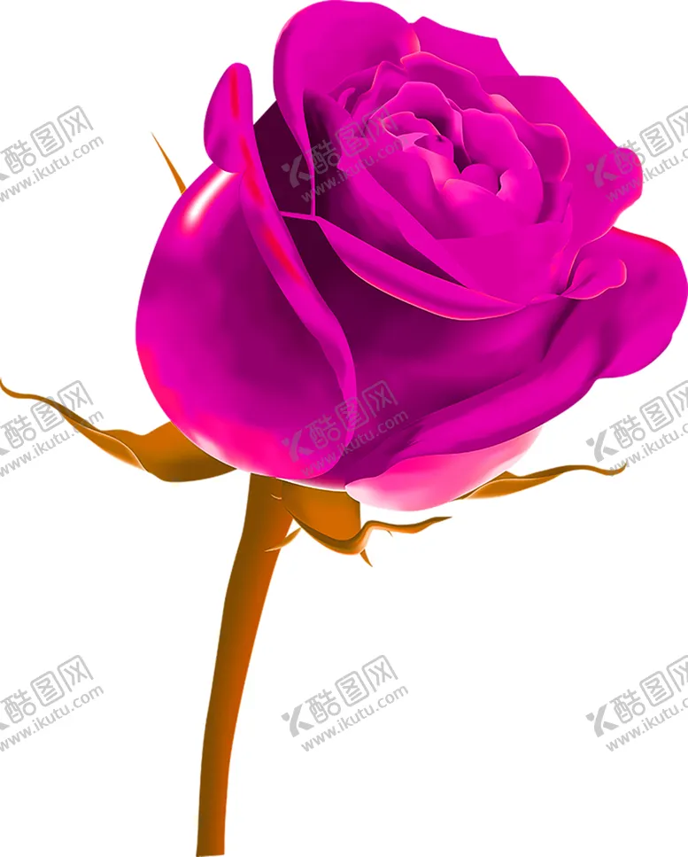 编号：28341306231424554399【酷图网】源文件下载-鲜花素材
