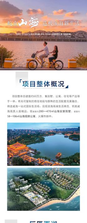 地产山海滨海别墅价值点长图