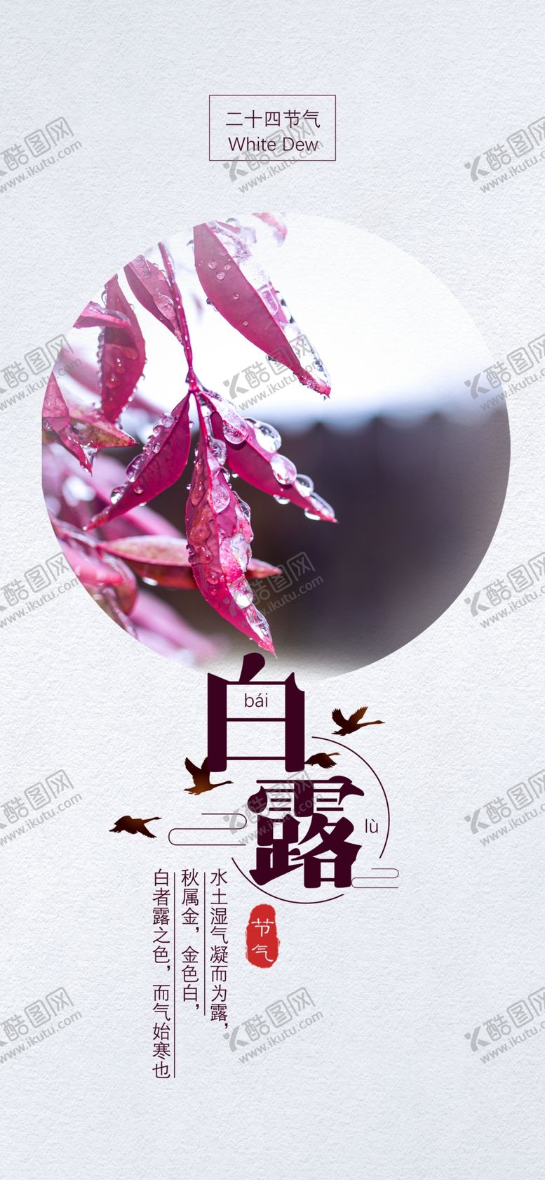 编号：94456806250353011801【酷图网】源文件下载-白露